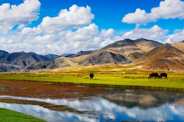 西藏十大最有钱的镇