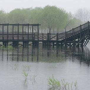 河南白龟湖国家城市湿地公园