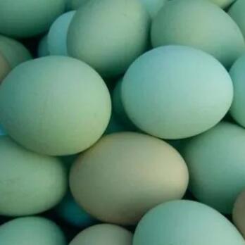 都匀绿壳鸡蛋