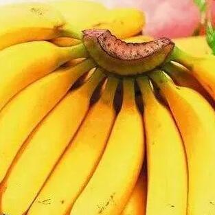 平和坂仔香蕉