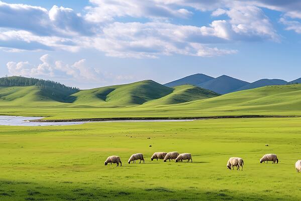 2023内蒙古民营企业100强榜单：羊毛公司排第二，第一是乳业公司
