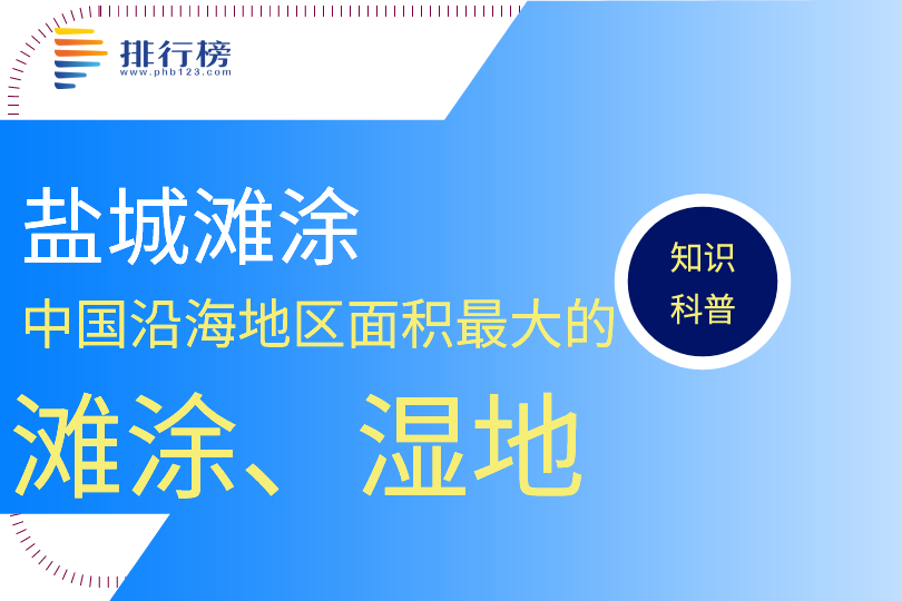 中國沿海地區(qū)面積最大的灘涂、濕地：鹽城灘涂(683萬畝)