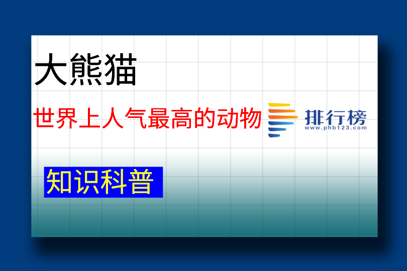 世界上人气最高的动物：大熊猫(中国特有种)