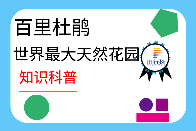 世界最大天然花园：百里杜鹃(总面积约为125.8平方公里)