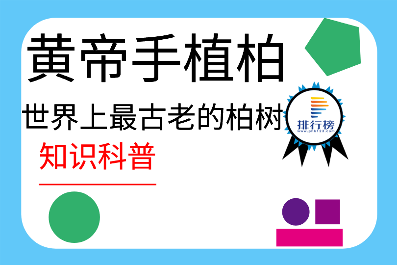 世界上最古老的柏樹：黃帝手植柏(距今5000多年)