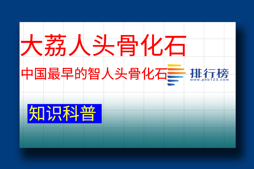 中國最早的智人頭骨化石：大荔人頭骨化石(距今20余萬年)