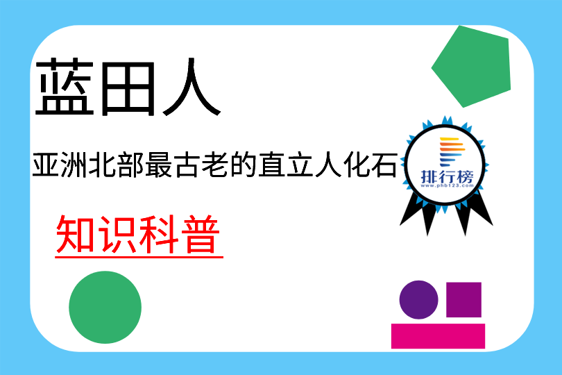 亞洲北部最古老的直立人化石：藍(lán)田人(發(fā)現(xiàn)于陜西藍(lán)田縣公王嶺)