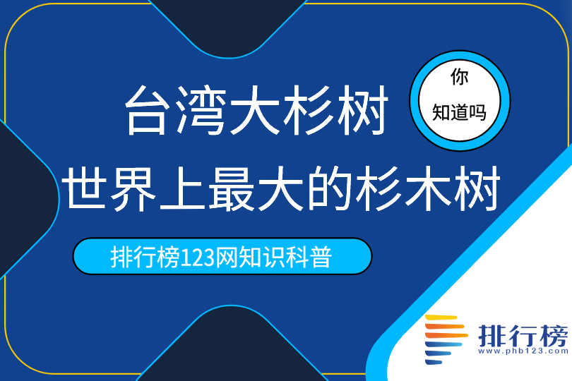 世界上最大的杉木树:台湾大杉树(需六人合抱)