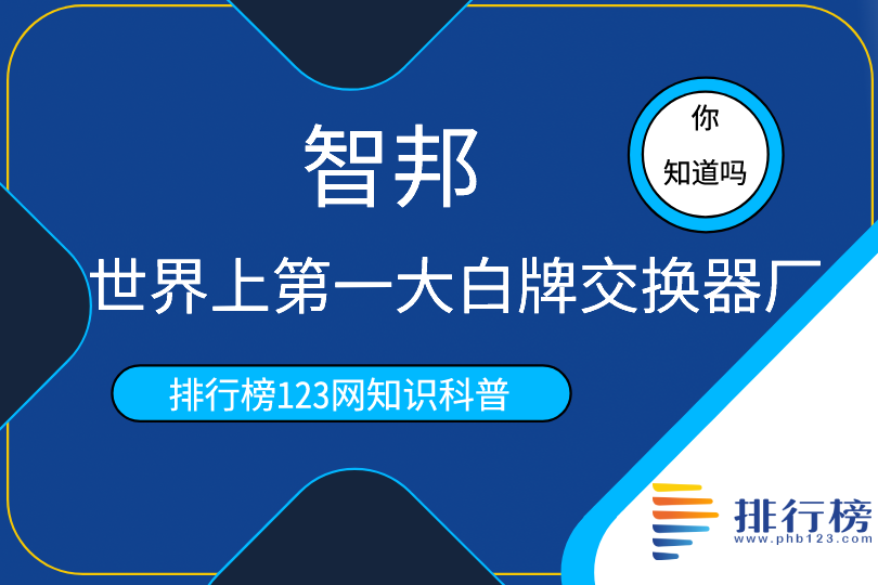 世界上第一大白牌交換器廠:智邦(于1988年成立)