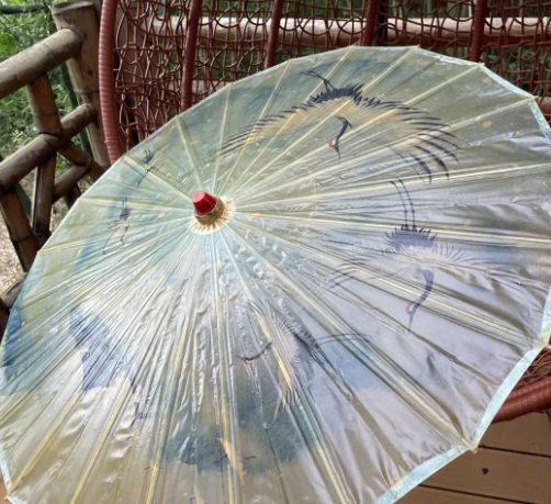 湘潭油纸伞