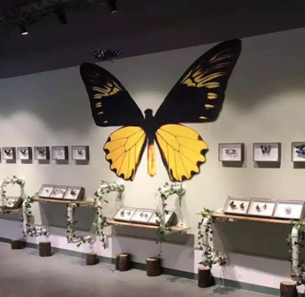 武汉谌安明蝴蝶博物馆