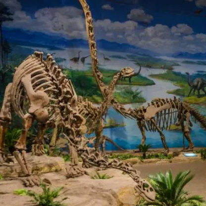 国家恐龙化石保护区