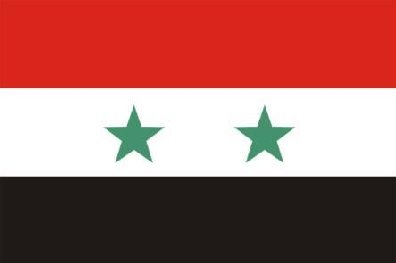 叙利亚人口数量2015