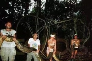 世界上最大的蟒蛇排行榜