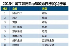 中国互联网公司500强排名2015