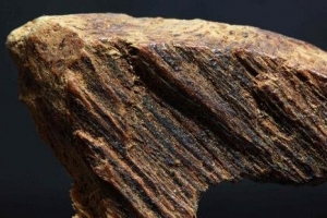 世界上最贵的木头：奇楠木(每克2000-15000人民币)
