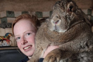 世界上最重的兔子:拉尔夫