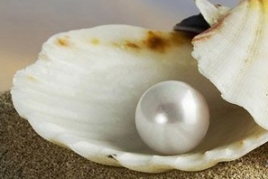 世界十大珍珠排行榜 世界十大著名珍珠