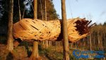 盤(pán)點(diǎn)與大自然并存的10大獨特避世小屋