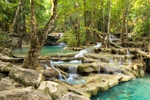 世界上最美的十大热带雨林排行榜 最美的热带雨林