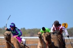 世界上最奇葩运动排行榜，骆驼也可以赛跑？