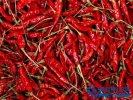 中国最辣的辣椒是什么？产自哪里？辣度多少？