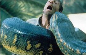 世界上最大的蛇，四川巨蟒长达55米