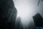 2016雾霾城市排行榜,中国雾霾城市排名及分布图