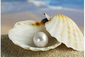最珍貴的珍珠品種排名,罕見的鮑魚珍珠(萬里挑一)