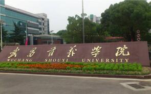 2017中國民辦大學排行榜：武昌首義學院居首，14所院校來自武漢