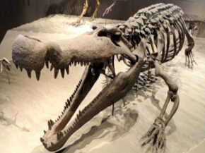 史前最大型鳄类动物：普鲁斯鳄秒杀霸王龙（长12米、重8.4吨）