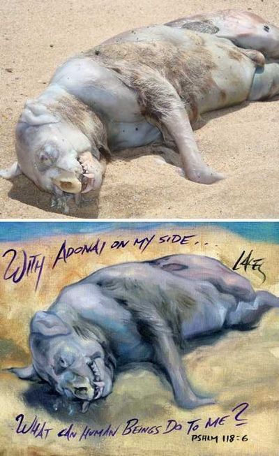 盘点那些惊现在海滩的奇怪生物 奇异 第8张