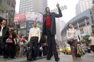 中国十大巨人排行榜：最矮的都有2.34米，第一巨人王峰军比姚明高30厘