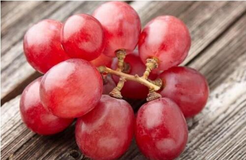 世界上最贵的葡萄：浪漫红宝石一串6.6万(日本天价葡萄)