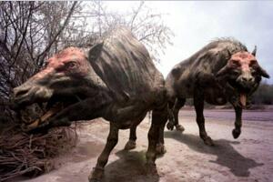 上古时期最凶猛的动物：巨猪，利齿可咬碎猎物骨头(体型如同野牛)