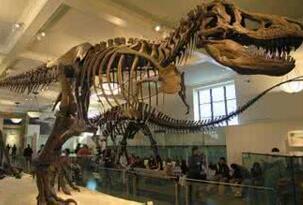 世界上最大的恐龙化石：泰坦巨龙身长40米重77吨(相当于14头大象)