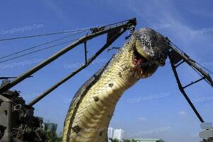 世界上最长的蛇是什么蛇，红海巨蛇长达500米