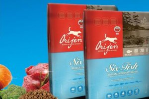 「推薦」頂級(jí)狗糧品牌排行榜,著名高端狗糧品牌有哪些
