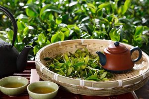 天猫茶品牌销量排行榜前十，艺福堂交易指数下降10.60%，仍是第一