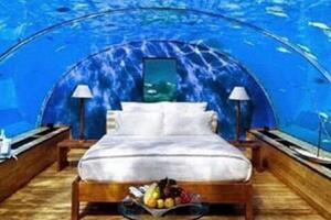 迪拜水下酒店,与鱼共眠一晚3.6万(世界唯一十星级酒店)