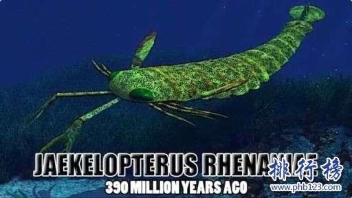 奥陶纪十大恐怖生物 揭秘奥陶纪生物大灭绝原因