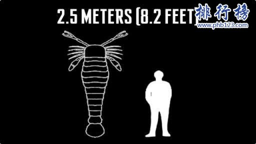 奥陶纪十大恐怖生物 揭秘奥陶纪生物大灭绝原因