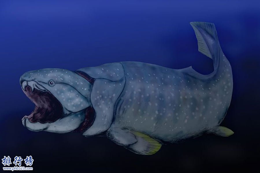 奥陶纪十大恐怖生物 揭秘奥陶纪生物大灭绝原因