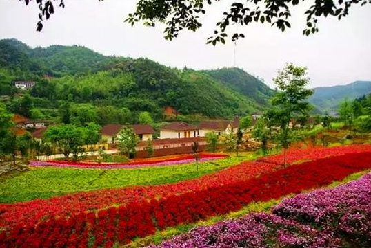 湖北十大名村,第十名櫻桃吃不停,第五名是土豪村