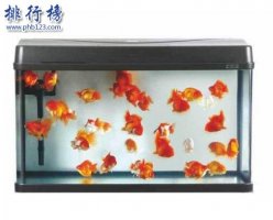 什么牌子的水族箱好？2018水族箱十大品牌排行榜推薦