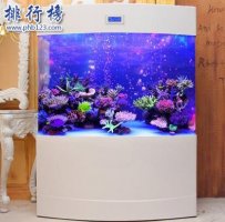 哪些牌子的亞克力水族箱好？2018亞克力水族箱十大品牌排行榜推薦