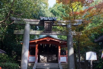 京都必玩的十大景点，每一个你都不想错过的好地方