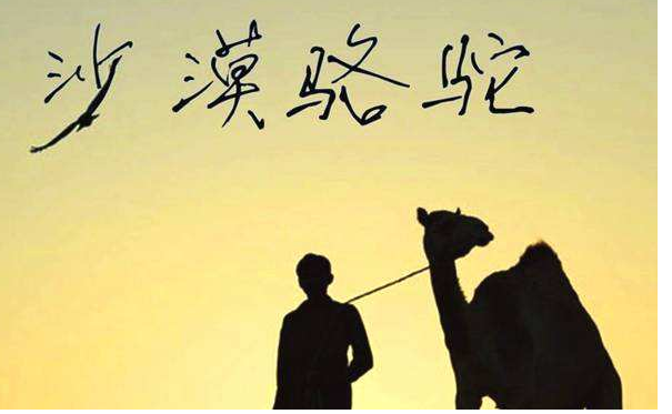2018最火十大歌曲，最近比較火的歌每一首都特別好聽