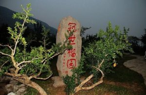 棗莊好玩的地方排行榜 臺(tái)兒莊古城必去，墨子紀(jì)念館風(fēng)格獨(dú)特