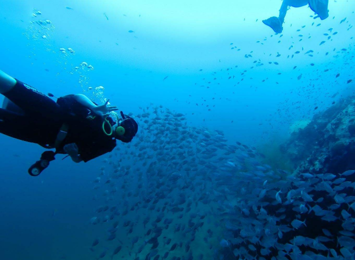 东南亚十大潜水圣地 风景绝美令人无法抗拒